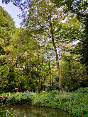 Aquatic Plant Botanical Garden 사진 4