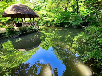 Aquatic Plant Botanical Garden 사진 5