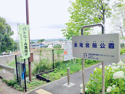 Nagaomiyamae Park 사진 4