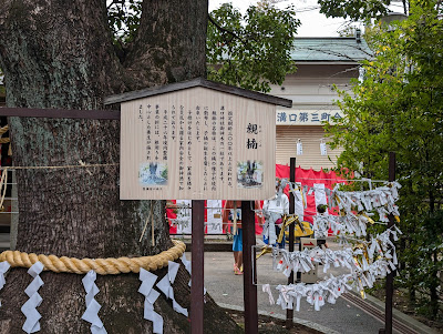 親楠（溝口神社） 사진 4
