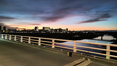 Futako Bridge 사진 5