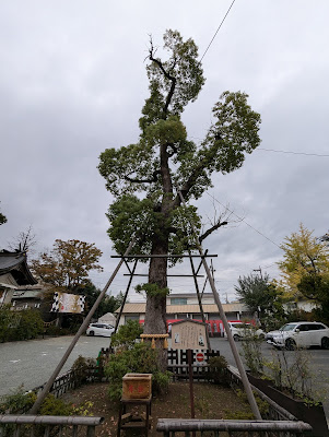 子楠（溝口神社） 사진 4