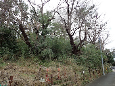 Mitakesan Kofun 사진 4