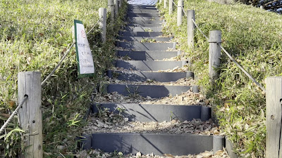 Noge Ōtsuka Tumulus 사진 2