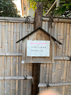 シナモンの樹 사진 2