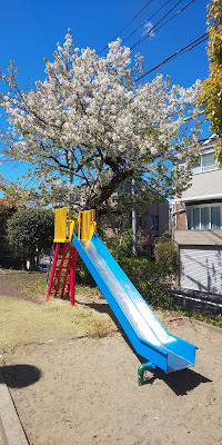 Kuwanokijido Park 사진 4