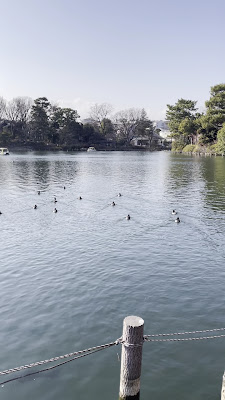 洗足池公園 사진 2