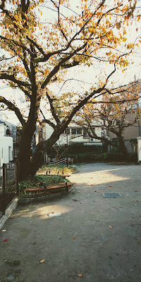 Minamishinagawasakura Park 사진 3