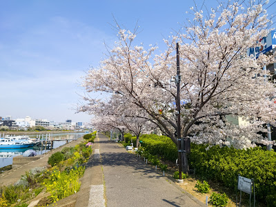 Shinagawa Hanakaido Waterside Square 사진 3