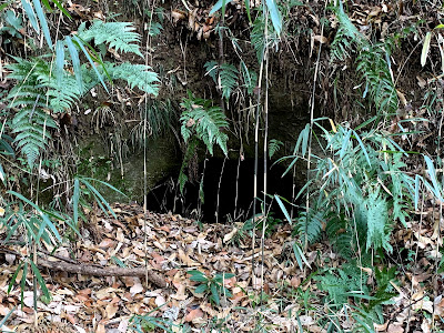 Ikuta Chojaana Burial Cave Cluster 사진 4