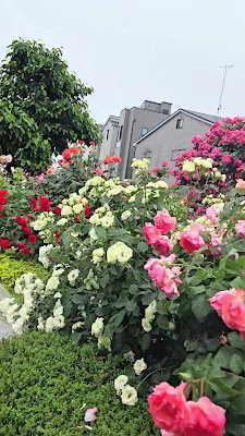 Gokamurahori Ryokuchi Park 사진 2