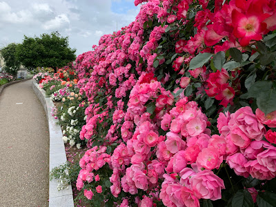 Gokamurahori Ryokuchi Park 사진 4