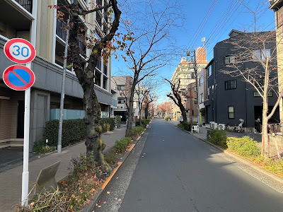 西小山桜並木通り 사진 2