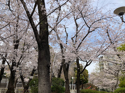 Gongen-yama Park 사진 4