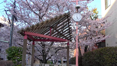 Hinkai Park 사진 2