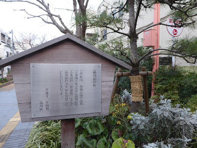 Hinkai Park 사진 4
