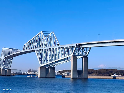 岩のオブジェ 사진 3