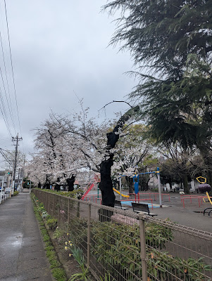 Noboritodai 2 Park 사진 3