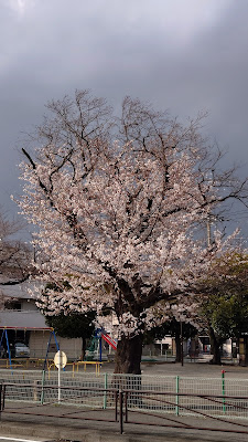 Noborito Dai 1 Park 사진 2