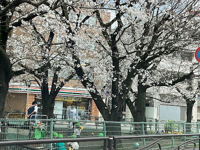Noborito Dai 1 Park 사진 3