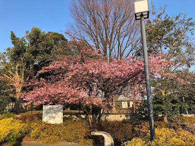 Yakumomachikado Park 사진 3