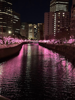 目黒川みんなのイルミネーション（冬の桜ライトアップ） 사진 3