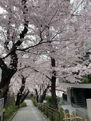 Gotanda Park 사진 2