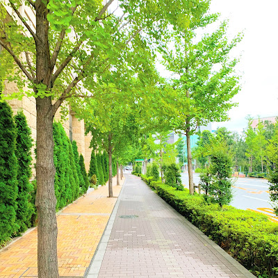 御成道 사진 2