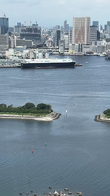Amphibious Bus by Tokyo Ducktour® Splash Point 사진 2