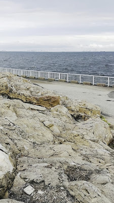 Micky Rock 사진 2