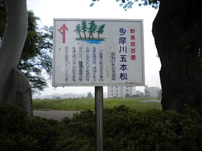 多摩川五本松 사진 4