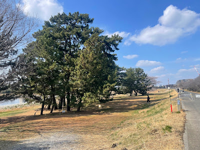 多摩川五本松 사진 2