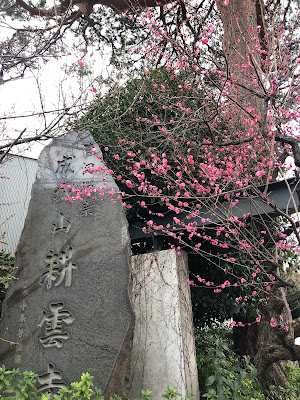 Seijosan Kōun-ji 사진 2