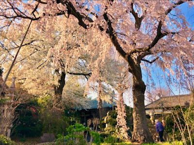 Myoho-ji 사진 5