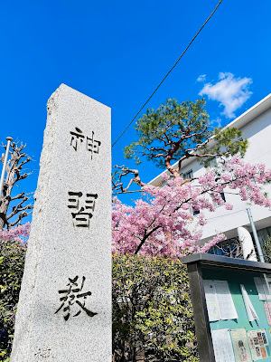 사쿠라 신궁 사진 5