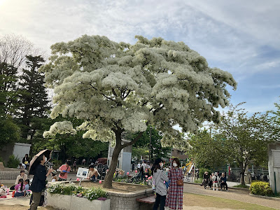 Koizumi Park 사진 3