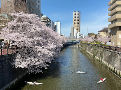 Nakame Park Bridge 사진 3