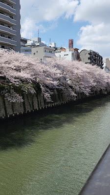 Nakame Park Bridge 사진 2