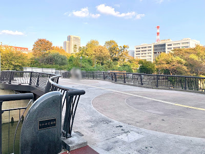 Nakame Park Bridge 사진 5