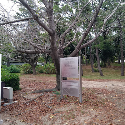 桜並木(お台場海浜公園) 사진 2