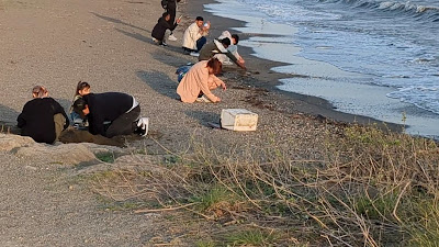 ラムサール条約湿地銘板 사진 2
