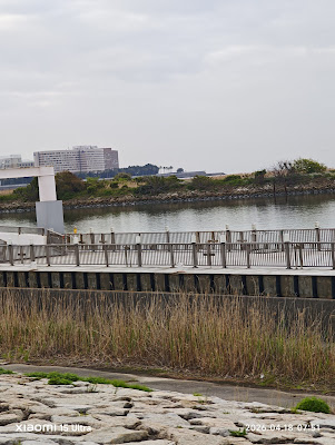 東京水辺ライン発着所(谷口吉生) 사진 4