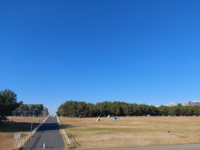 Urayasu City Multi-purpose Park Wood Deck 사진 4
