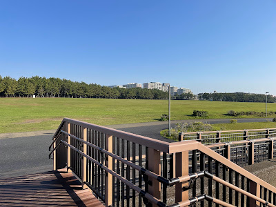 Urayasu City Multi-purpose Park Wood Deck 사진 5