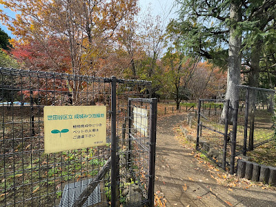 Seijō Mitsuike Greenery 사진 5