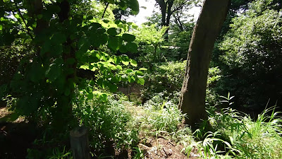 Site of Setagaya Castle 사진 2