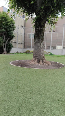 산겐쟈야후레아이 광장 사진 2