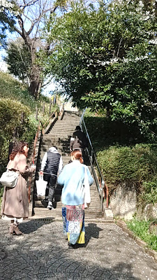 菅刈公園内しだれ桜(西郷従道曾孫一同寄贈) 사진 2