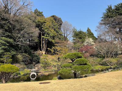 菅刈公園内しだれ桜(西郷従道曾孫一同寄贈) 사진 3