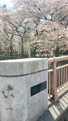 Sakura Bridge 사진 4